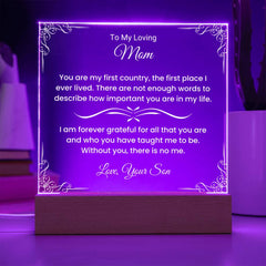 Gifts For Mom From Son, Acrylic Plaque With Heartfelt Message, Special Keepsake For Mother