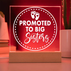 Promoted to Big Sister – Let the Adventure Begin Plaque