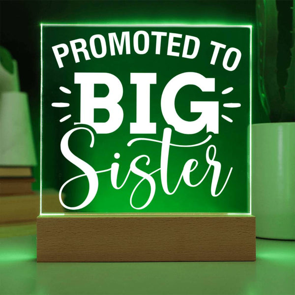 Promoted to Big Sister – Star of the Show Plaque