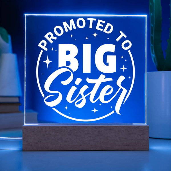 Promoted to Big Sister – Big Love Incoming Plaque