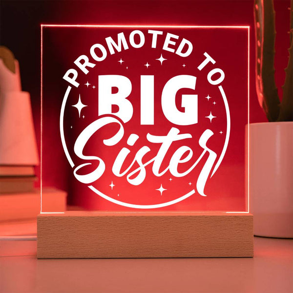 Promoted to Big Sister – Big Love Incoming Plaque