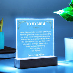 Acrylic Plaque Gift For Mom From Son, Loving Keepsake With Message, Special Gift For Her