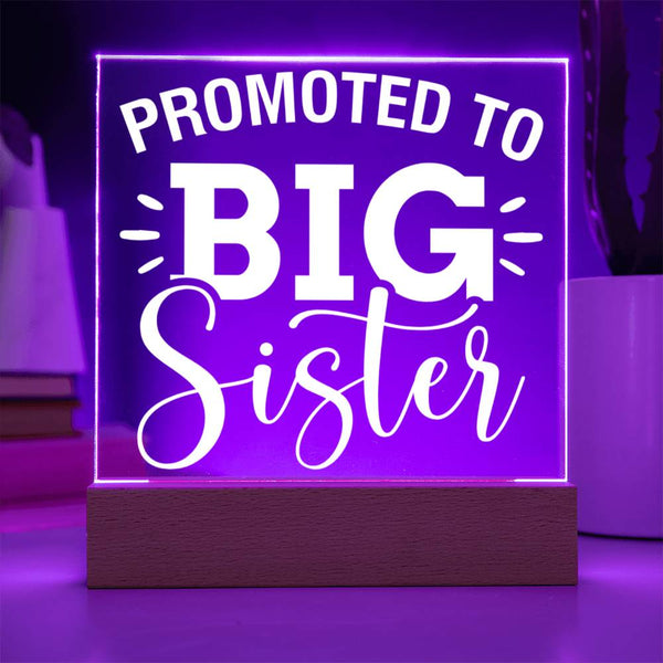 Promoted to Big Sister – Star of the Show Plaque