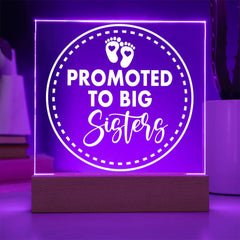 Promoted to Big Sister – Let the Adventure Begin Plaque