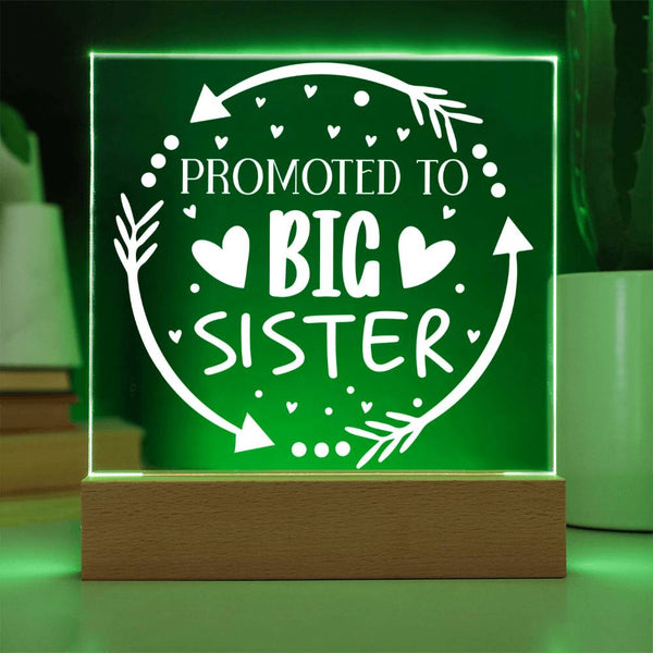 Promoted to Big Sister – Sweet & Whimsical Plaque