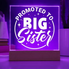 Promoted to Big Sister – Big Love Incoming Plaque