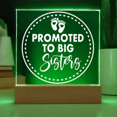 Promoted to Big Sister – Let the Adventure Begin Plaque