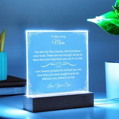 Gifts For Mom From Son, Acrylic Plaque With Heartfelt Message, Special Keepsake For Mother