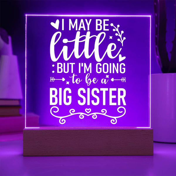Little Now, Big Sister Soon Plaque