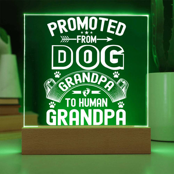 Promoted from Dog Grandpa to Human Grandpa - LED Gift