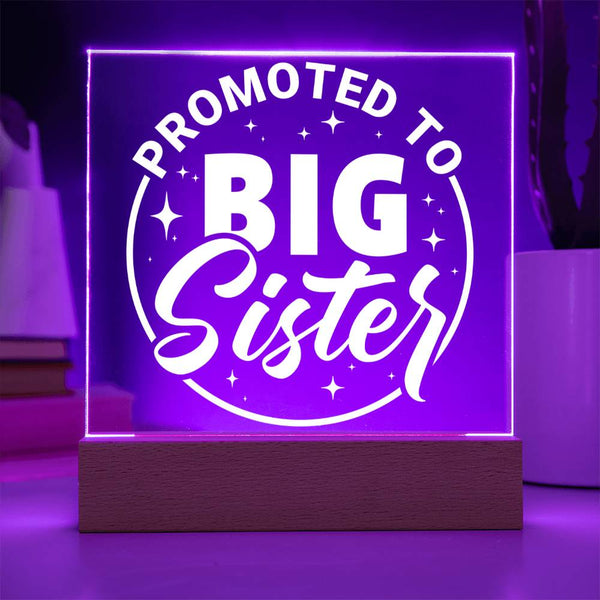 Promoted to Big Sister – Big Love Incoming Plaque