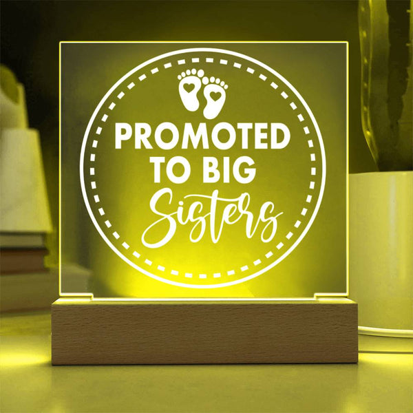 Promoted to Big Sister – Let the Adventure Begin Plaque