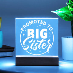 Promoted to Big Sister – Big Love Incoming Plaque