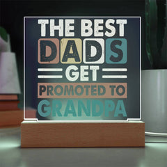 Best Dads Get Promoted to Grandpa - Sentimental Gift