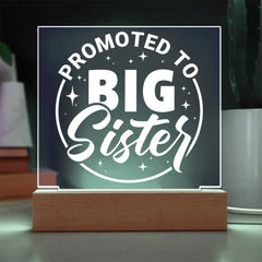 Promoted to Big Sister – Big Love Incoming Plaque
