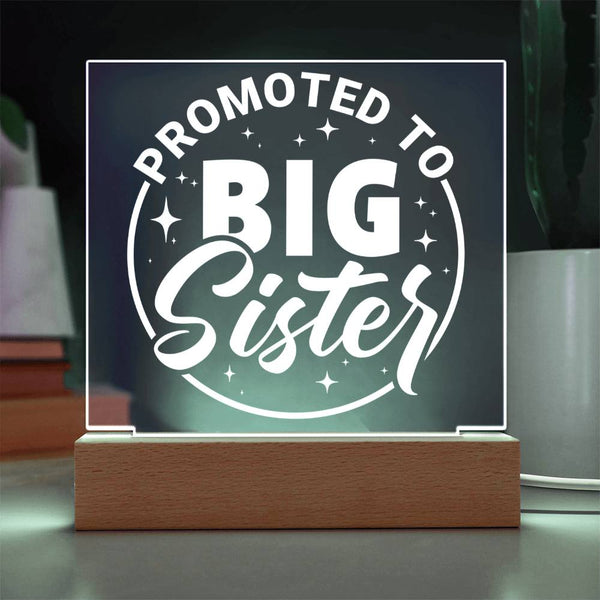 Promoted to Big Sister – Big Love Incoming Plaque
