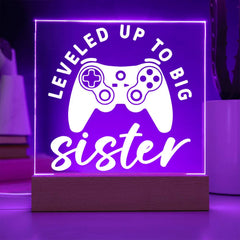 Leveled Up to Big Sister – Gamer Girl Edition Plaque