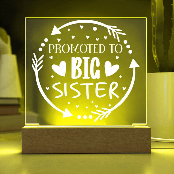 Promoted to Big Sister – Sweet & Whimsical Plaque