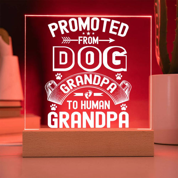 Promoted from Dog Grandpa to Human Grandpa - LED Gift