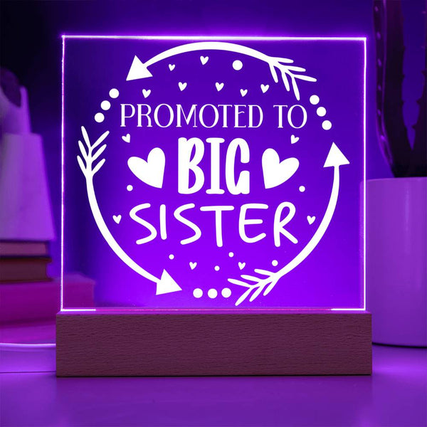 Promoted to Big Sister – Sweet & Whimsical Plaque