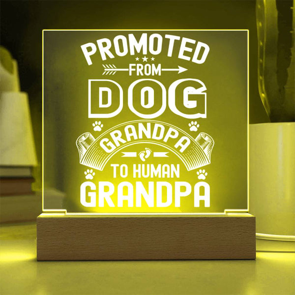 Promoted from Dog Grandpa to Human Grandpa - LED Gift
