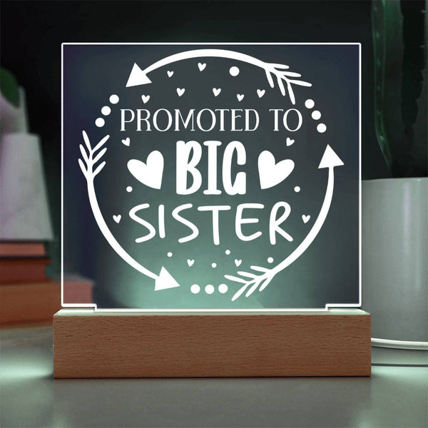 Promoted to Big Sister – Sweet & Whimsical Plaque