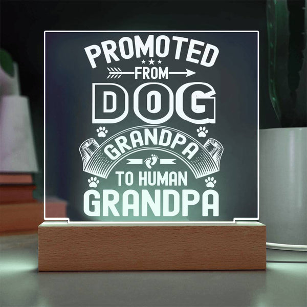 Promoted from Dog Grandpa to Human Grandpa - LED Gift