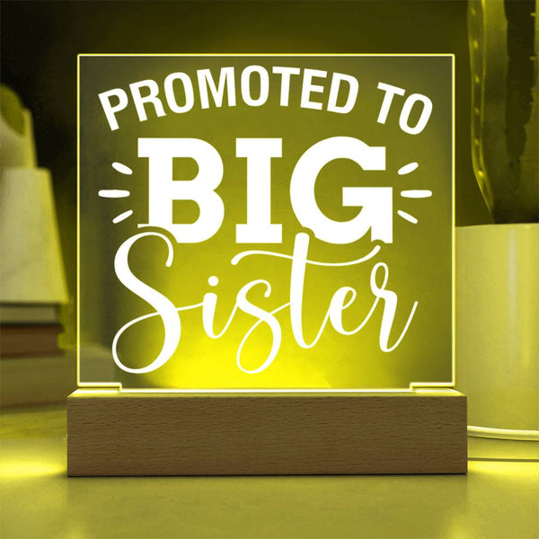 Promoted to Big Sister – Star of the Show Plaque