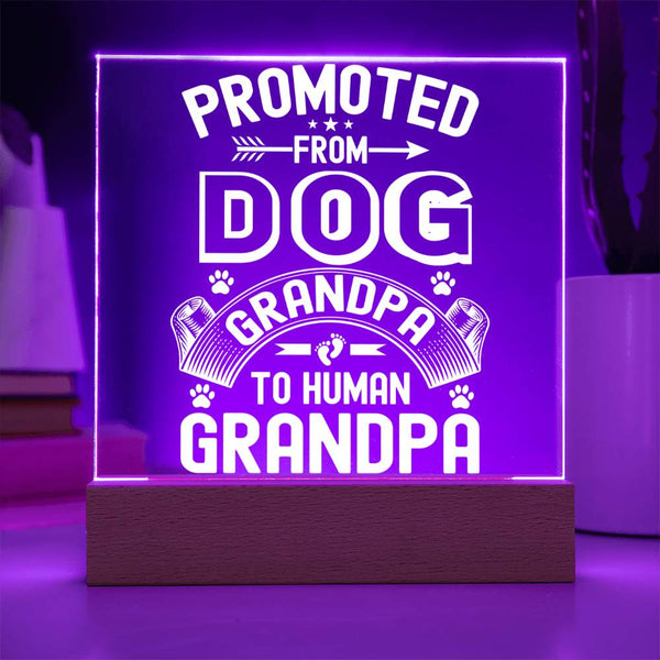 Promoted from Dog Grandpa to Human Grandpa - LED Gift