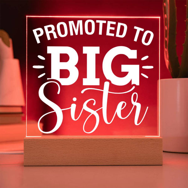 Promoted to Big Sister – Star of the Show Plaque