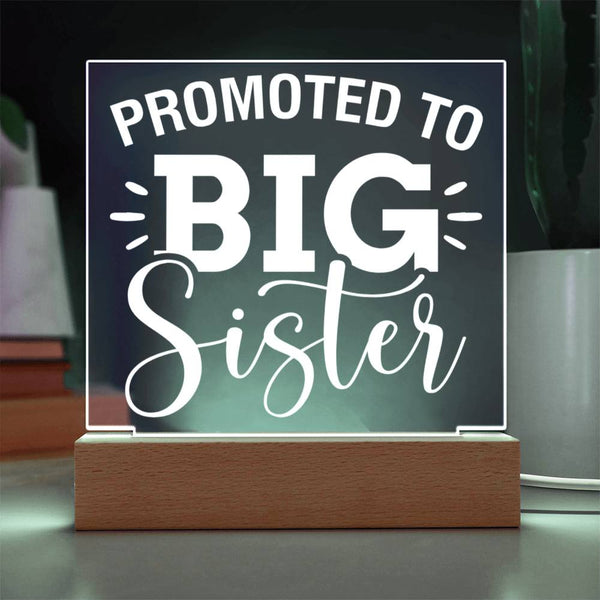 Promoted to Big Sister – Star of the Show Plaque